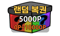 랜덤 복권(5000P)
